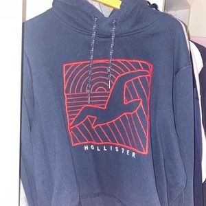 HOLLISTER SWEATSHIRT SIZE LARGE